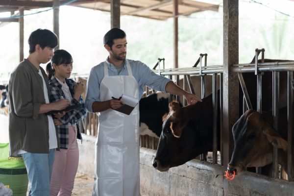 Shutterstock_aideformationagricole