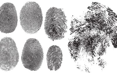 Casier judiciaire et empreintes digitales : quelques nouveautés…