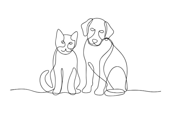 Shutterstock_reglesanimauxdomestiques
