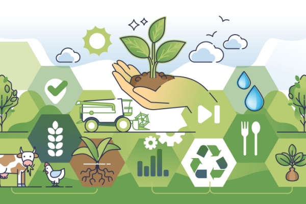 Shutterstock_LFSSagriculture-1