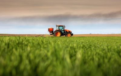 FranceAgriMer et organisations de producteurs : des sanctions possibles ?