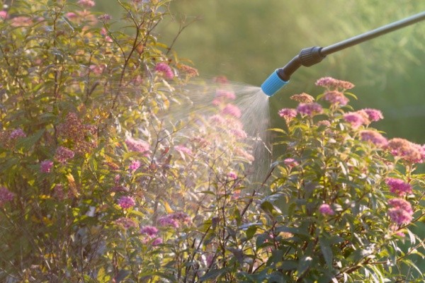 Shutterstock_phytosanitaire-1