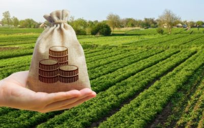 Impôts et taxes pour le secteur agricole : ce qui va changer en 2026