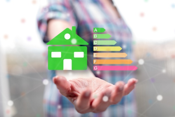 Shutterstock_certficatd27economie