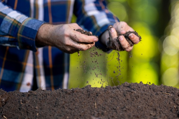 Shutterstock_fertilisantssolsagri-2