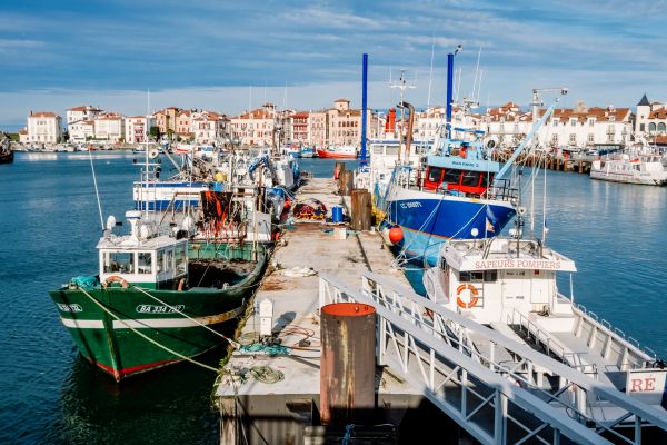 shutterstock_navireportpeche