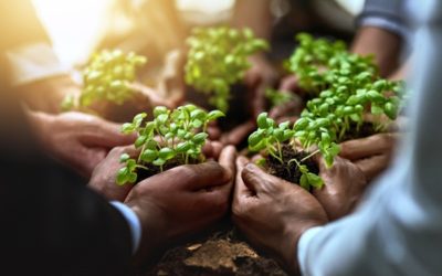 Soutien aux exploitations agricoles en difficultés : des aides possibles