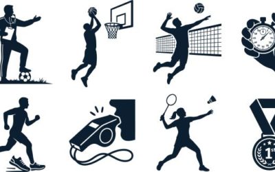 Organisation, gestion et financement du sport professionnel : réforme en cours