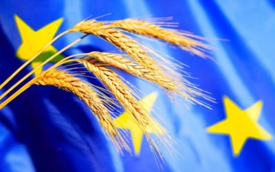 Bonnes conditions agricoles et environnementales : une nouvelle définition de la haie